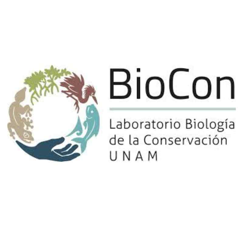Laboratorio de Biología de la Conservación 