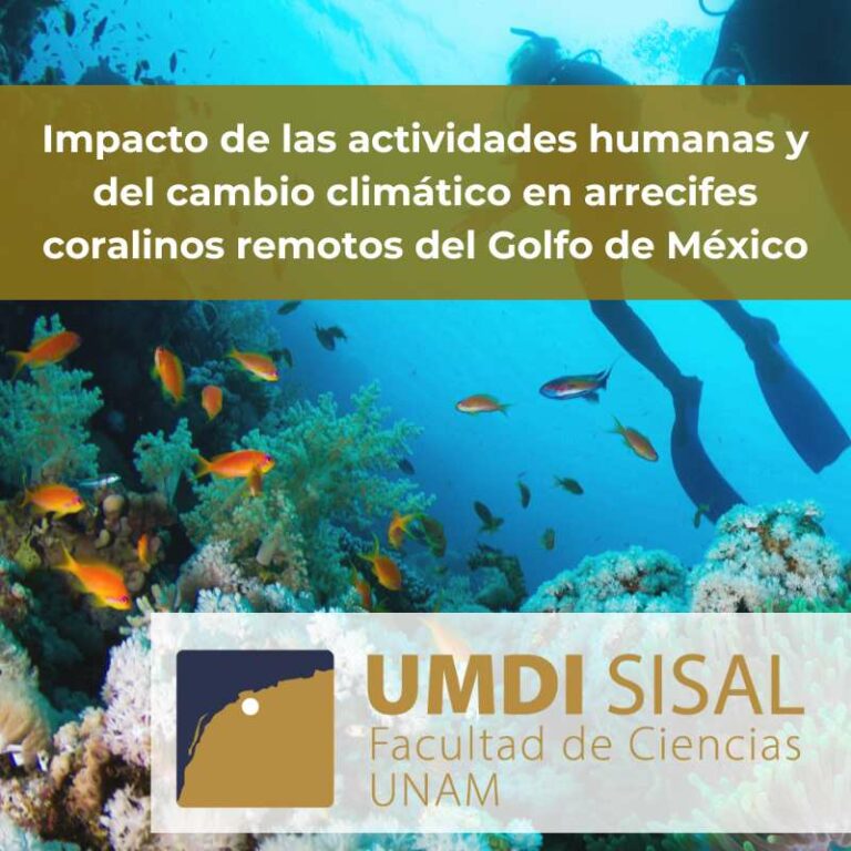 cc-umdisisal