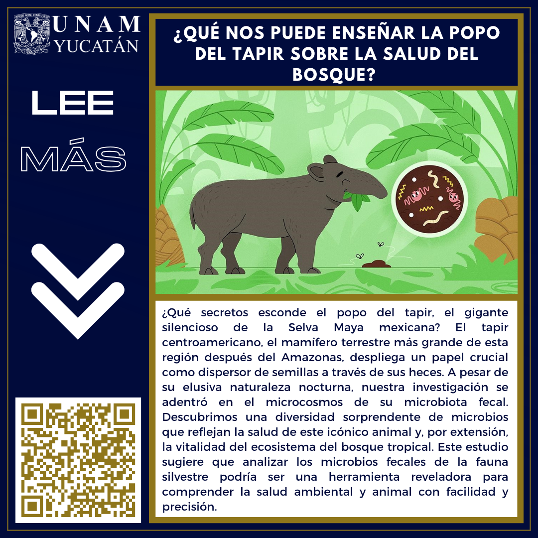 ¿Qué nos puede enseñar la popo del tapir sobre la salud del bosque?