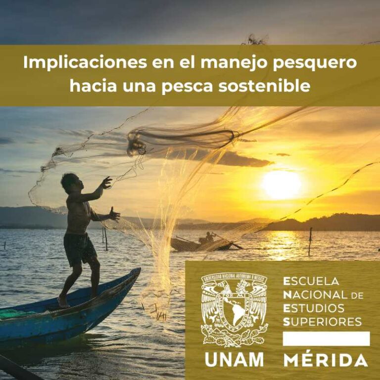 pesa-sostenible