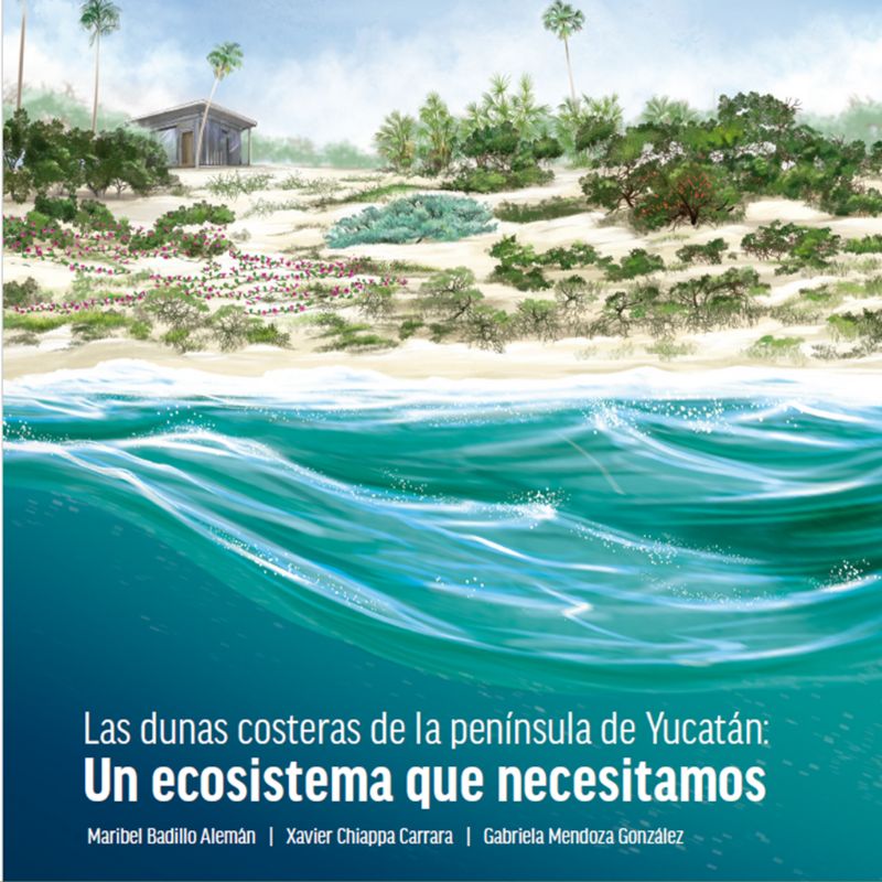 Las dunas costeras de la península de Yucatán: Un ecosistema que necesitamos