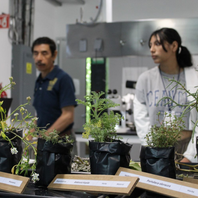 Licenciatura en Biología