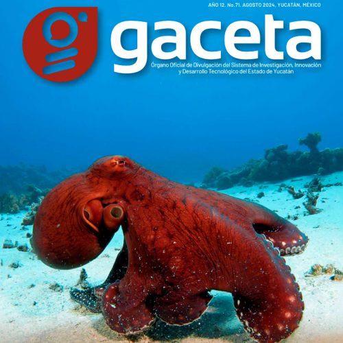 Gaceta SIIDETEY No. 71