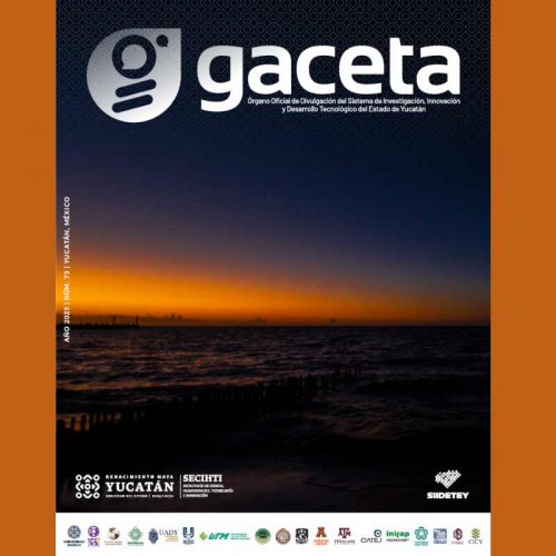 Gaceta SIIDETEY número 73, Junio 2025